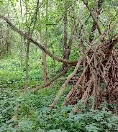 Clinton River Trail, Pontiac - Pontiac, MI