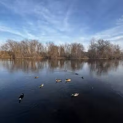 Dawson Pond Park - Pontiac, MI