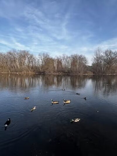 Dawson Pond Park - Pontiac, MI