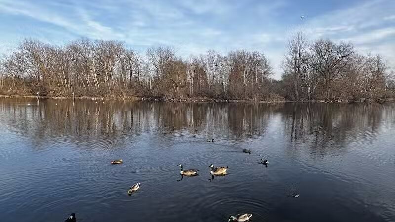 Dawson Pond Park - Pontiac, MI