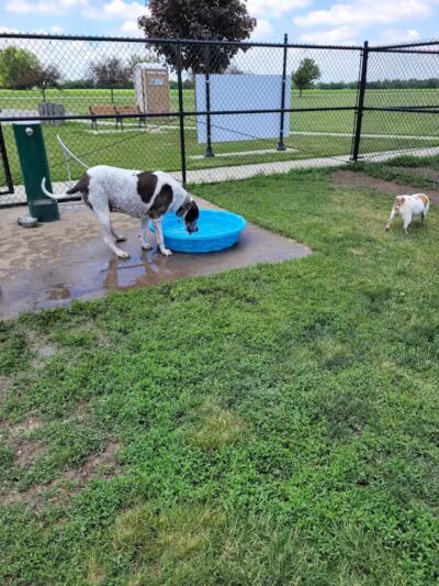 Draco Park - Pontiac, MI