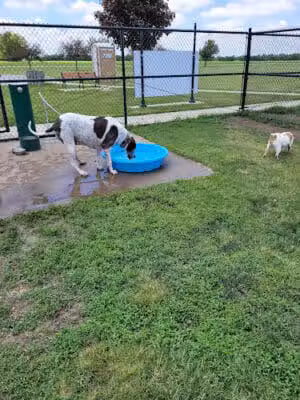 Draco Park - Pontiac, MI