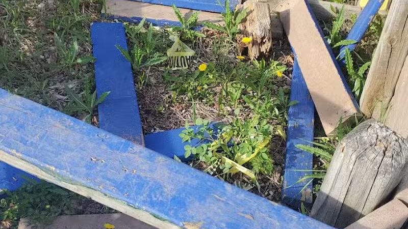 Neighborhood Park - Pontiac, MI