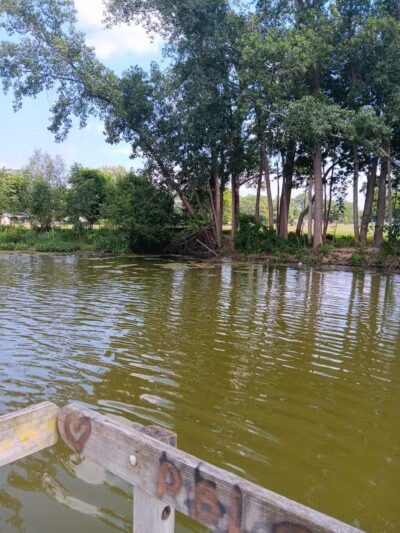 North Kiwanis Park - Pontiac, MI