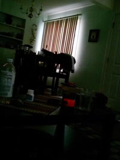 Optimist Park. - Pontiac, MI