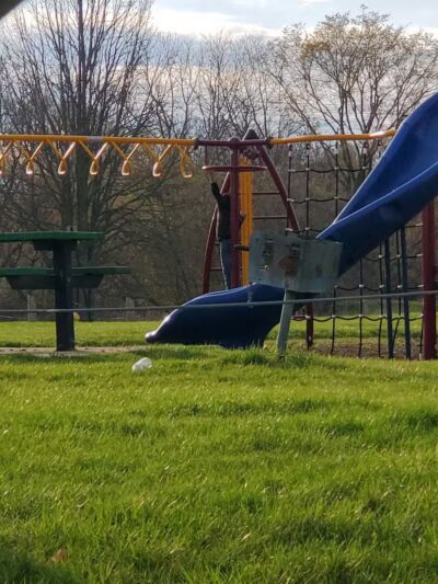 Rotary Park - Pontiac, MI