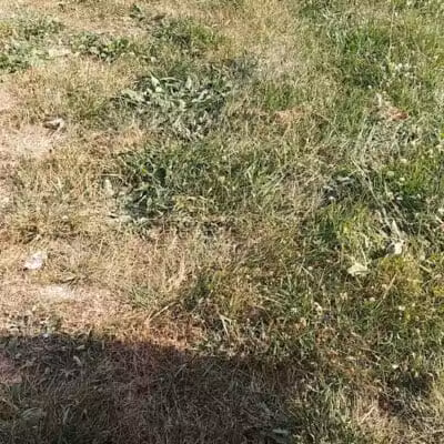Rotary Park - Pontiac, MI