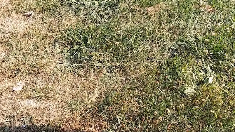 Rotary Park - Pontiac, MI