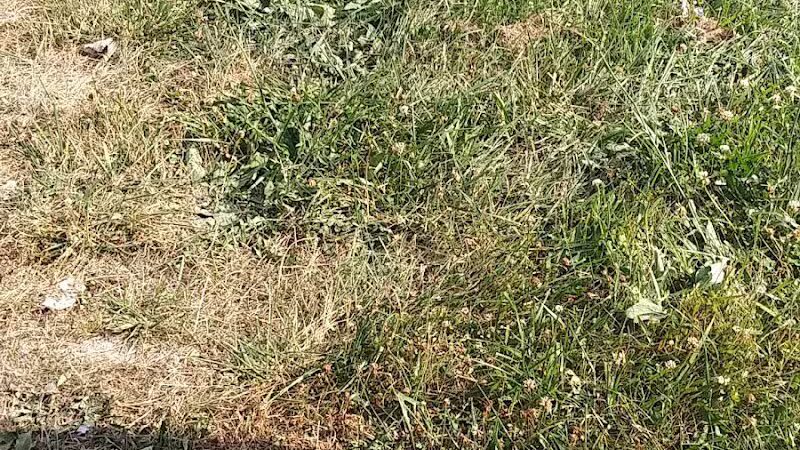 Rotary Park - Pontiac, MI