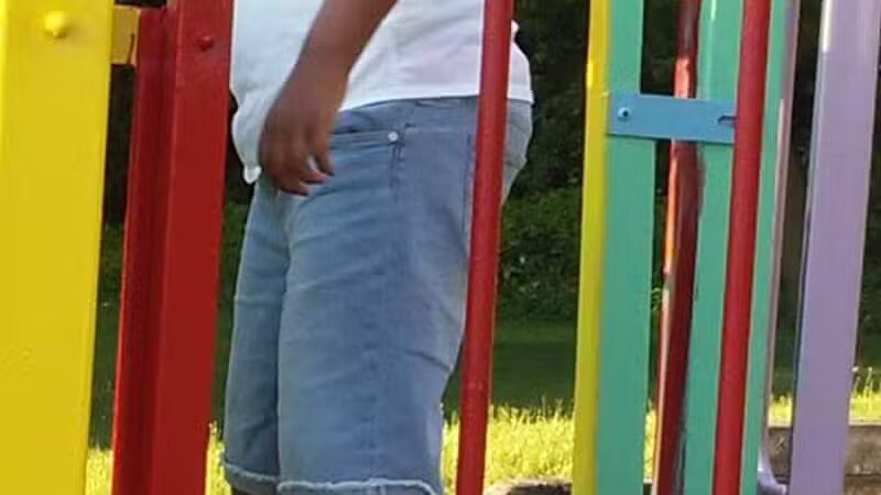 Shirley & Willard Park - Pontiac, MI