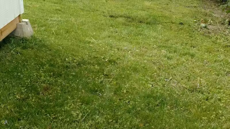 Shirley & Willard Park - Pontiac, MI