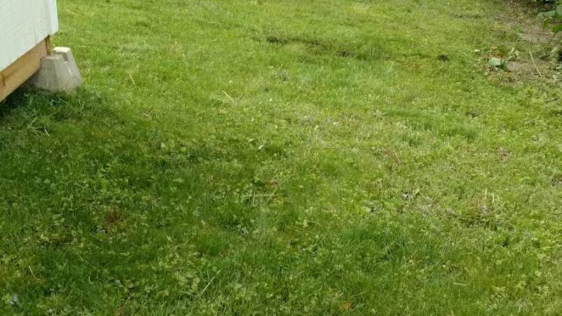 Shirley & Willard Park - Pontiac, MI