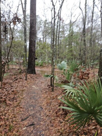 Tom Triplett Dog Park - Pooler, GA