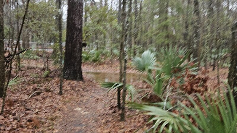 Tom Triplett Dog Park - Pooler, GA