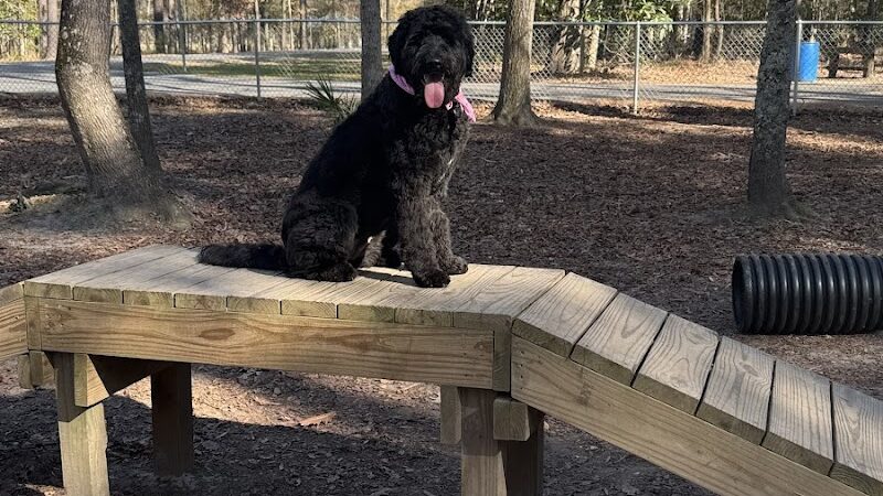 Tom Triplett Dog Park - Pooler, GA