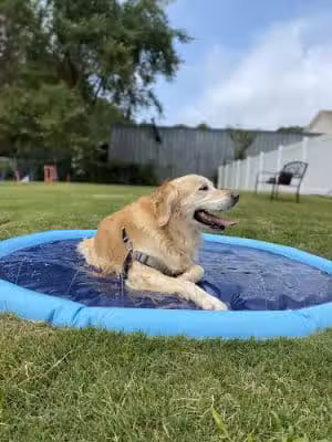 Petquoson Private Dog Park - Poquoson, VA