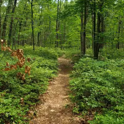 Huron County Nature Center - Port Austin,