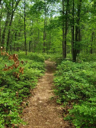 Huron County Nature Center - Port Austin,