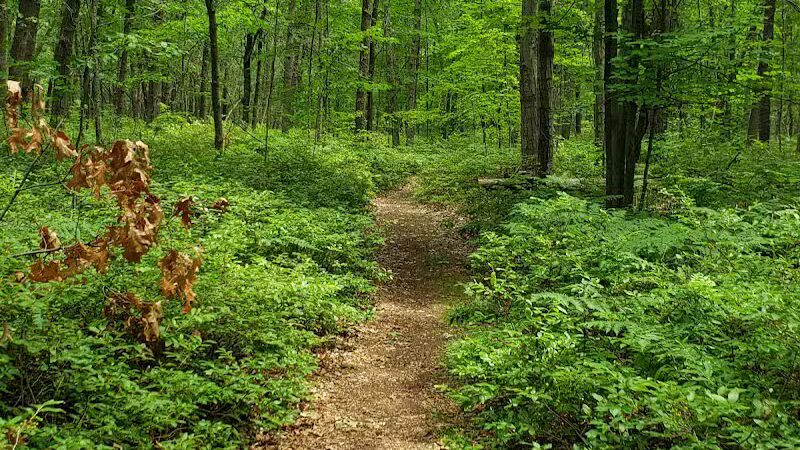 Huron County Nature Center - Port Austin,