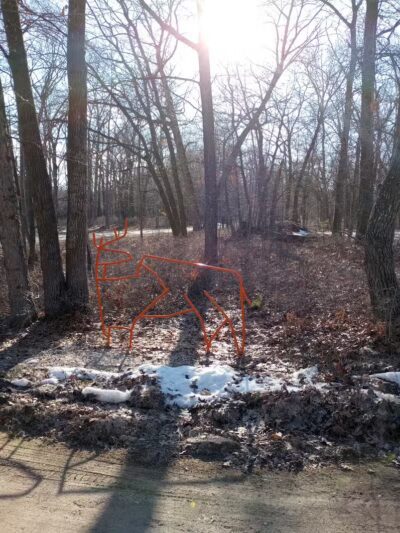 Huron County Nature Center - Port Austin,