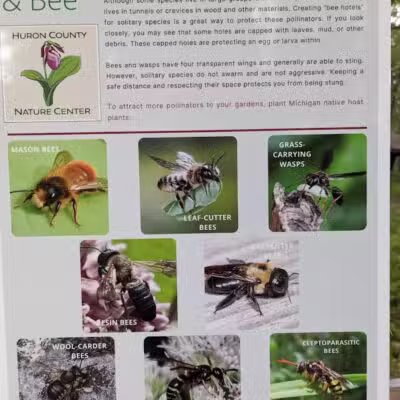 Huron County Nature Center - Port Austin,