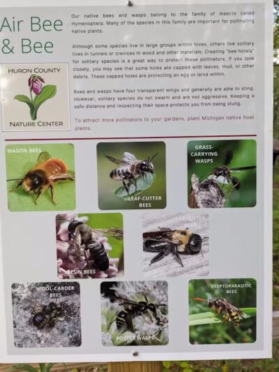 Huron County Nature Center - Port Austin,