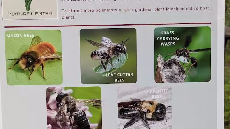 Huron County Nature Center - Port Austin,