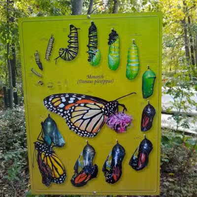 Huron County Nature Center - Port Austin,