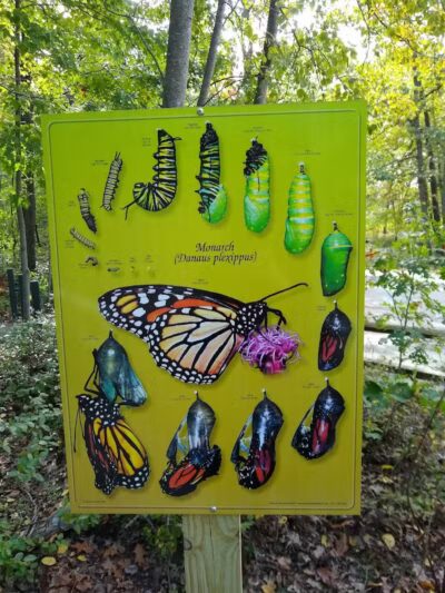 Huron County Nature Center - Port Austin,