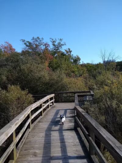 Huron County Nature Center - Port Austin,