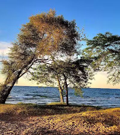 McGraw County Park - Port Austin,