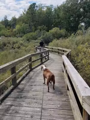 Huron County Nature Center - Port Austin,