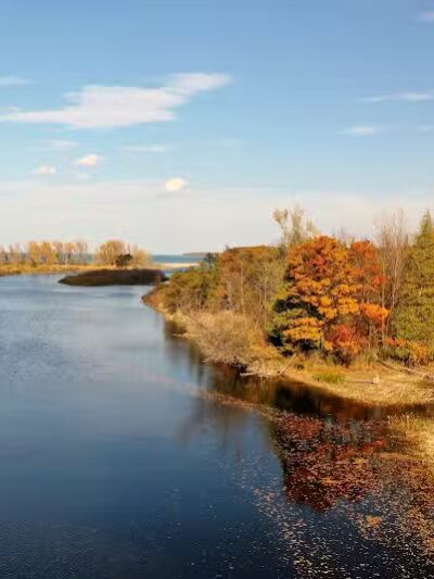 Port Crescent State Park - Port Austin,