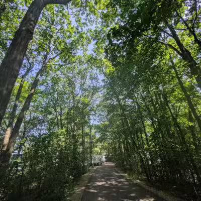 Port Crescent State Park - Port Austin,