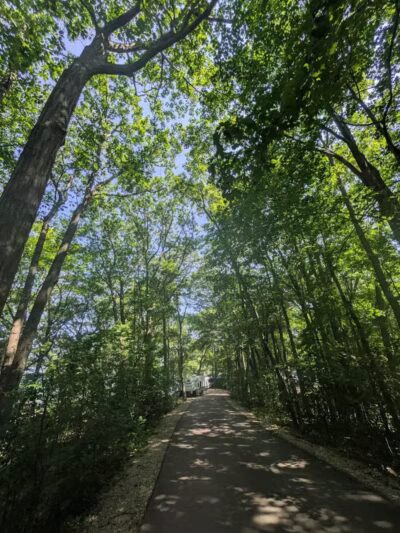 Port Crescent State Park - Port Austin,