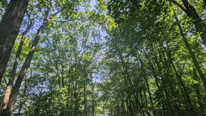Port Crescent State Park - Port Austin,