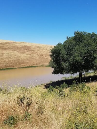 Carquinez Strait Regional Shoreline Park - Port Costa, CA