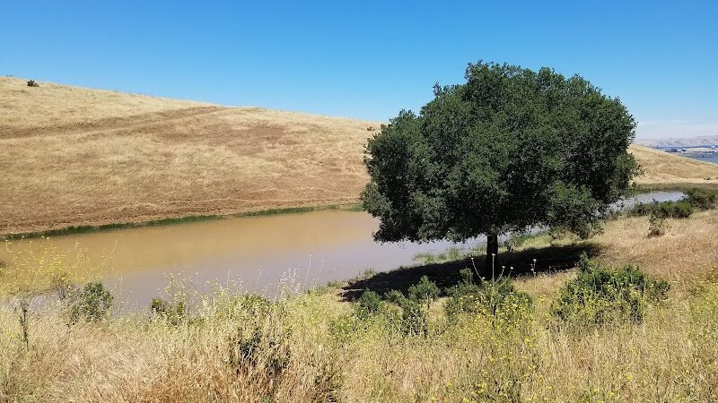 Carquinez Strait Regional Shoreline Park - Port Costa, CA