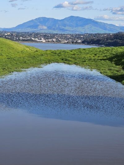 Carquinez Strait Regional Shoreline Park - Port Costa, CA