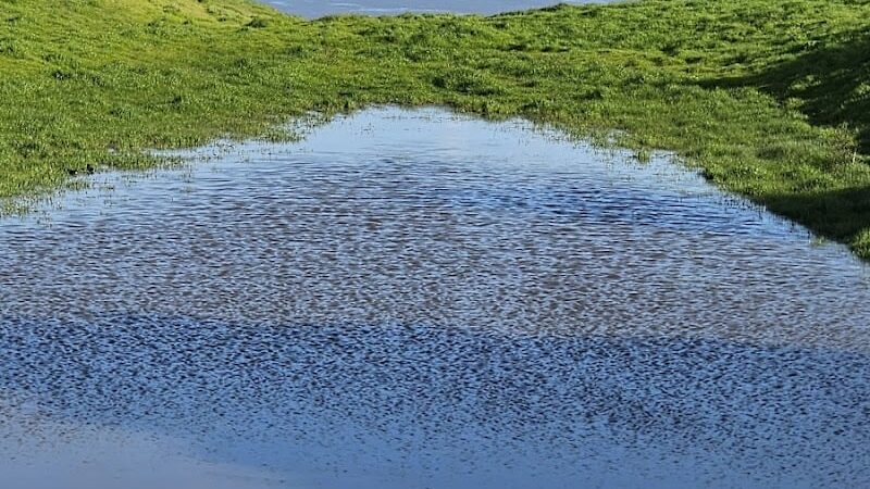 Carquinez Strait Regional Shoreline Park - Port Costa, CA