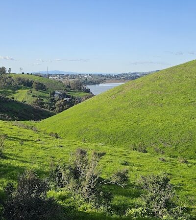 Carquinez Strait Regional Shoreline Park - Port Costa, CA