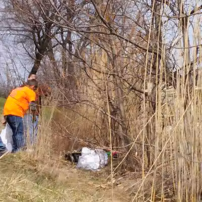 Haynes Park - Port Huron,