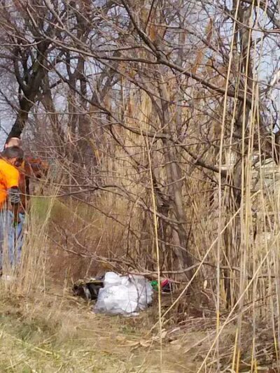 Haynes Park - Port Huron,