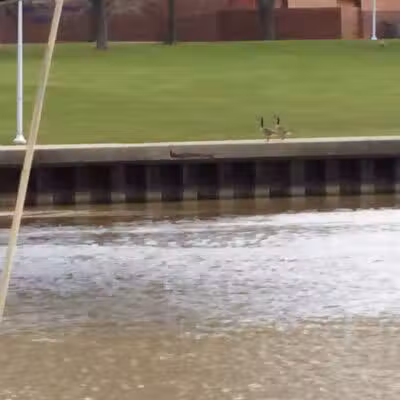 Haynes Park - Port Huron,