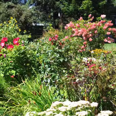 Lincoln Park - Port Huron,