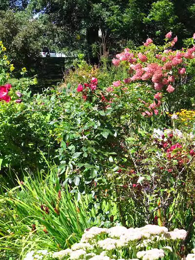 Lincoln Park - Port Huron,