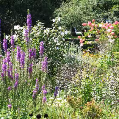 Lincoln Park - Port Huron,