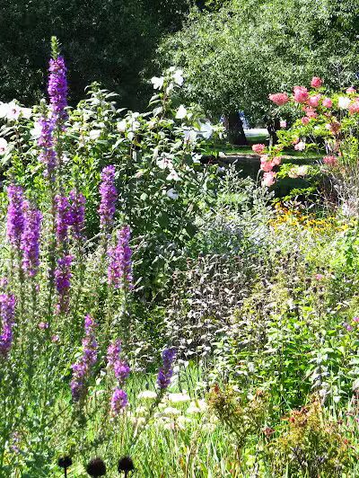 Lincoln Park - Port Huron,