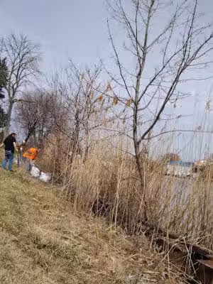 Haynes Park - Port Huron,