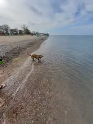 Wetlands County Park - Port Huron,